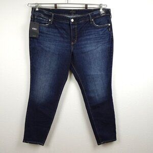 Silver Jeans Elyse Skinny Leg Women's Plus Size 22W Blue Denim Stretch